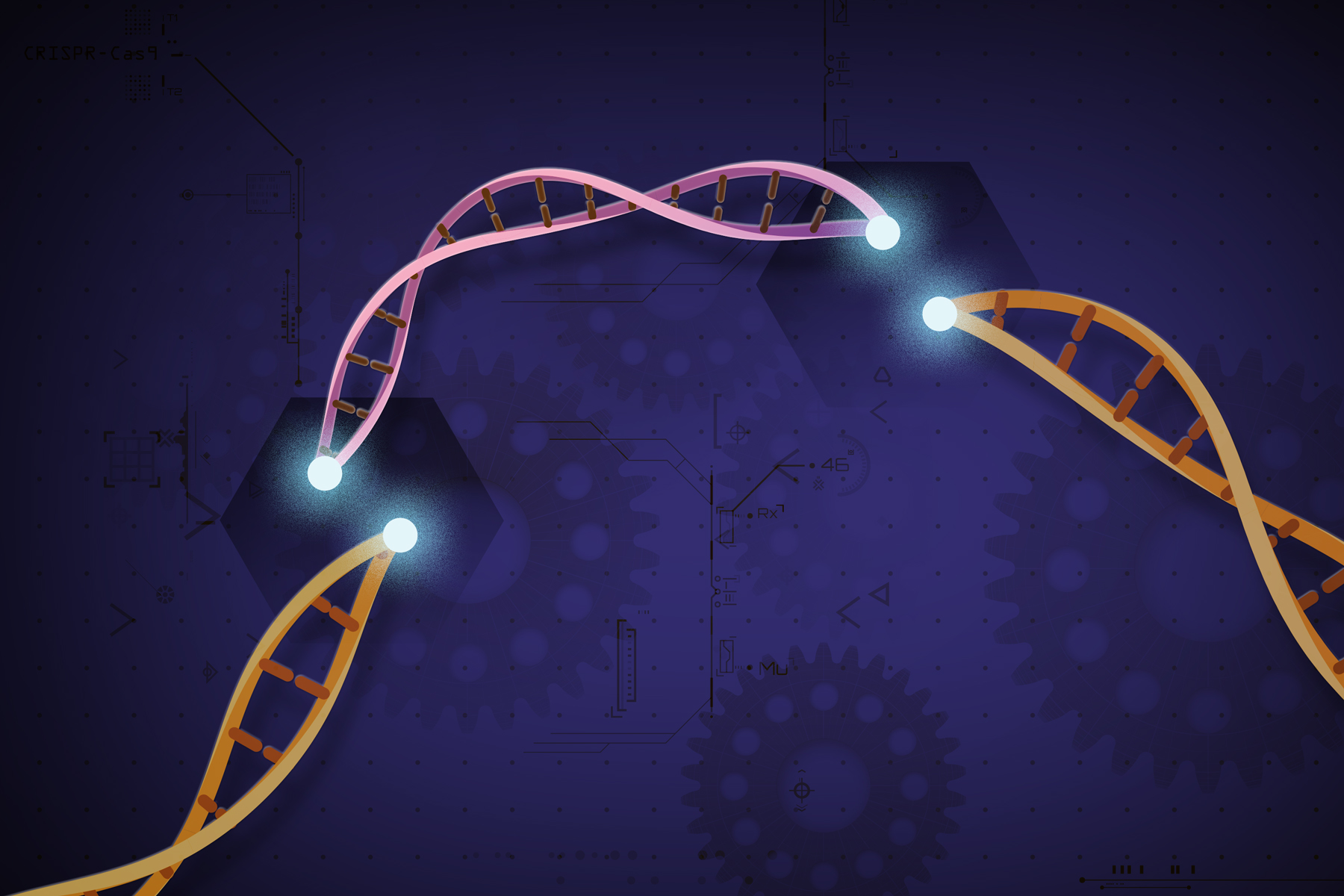 呼吁谨慎使用基因编辑技术 CRISPR